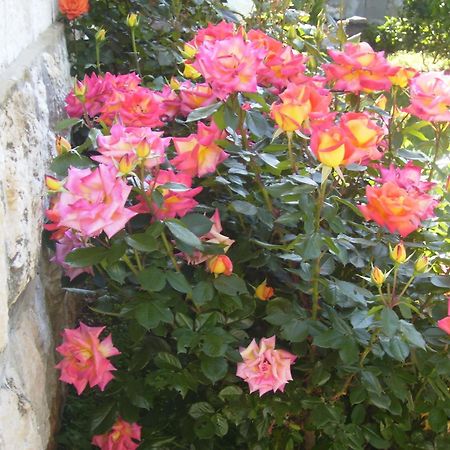 Apartment Flora Dubrovnik Bagian luar foto