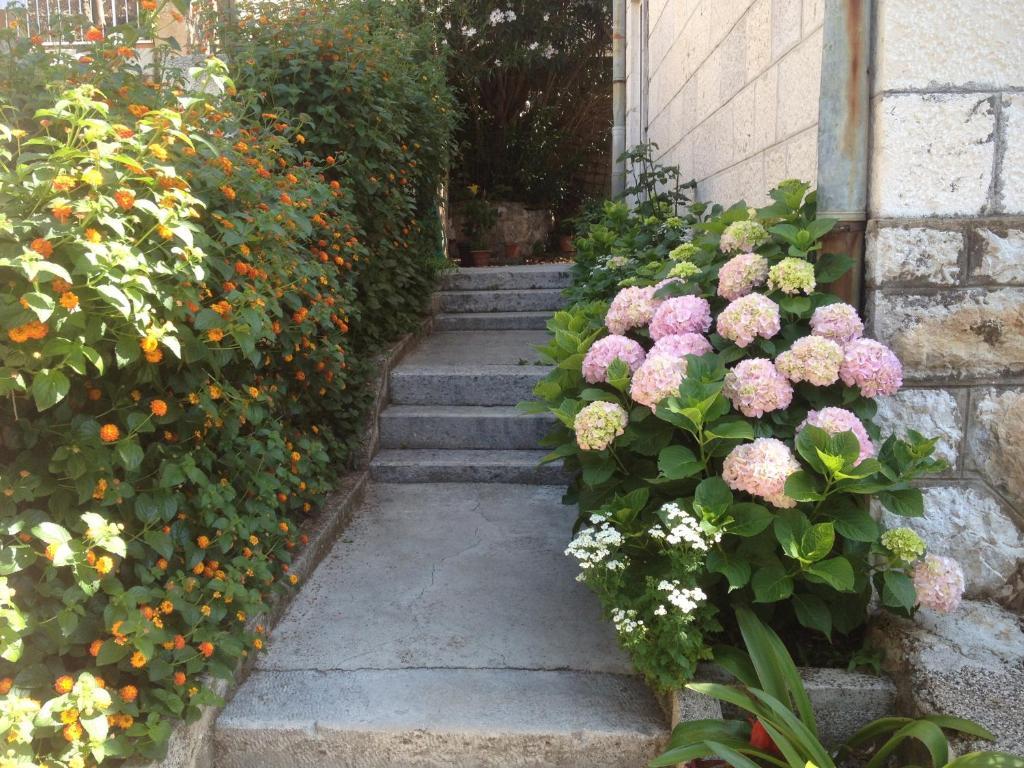 Apartment Flora Dubrovnik Bagian luar foto