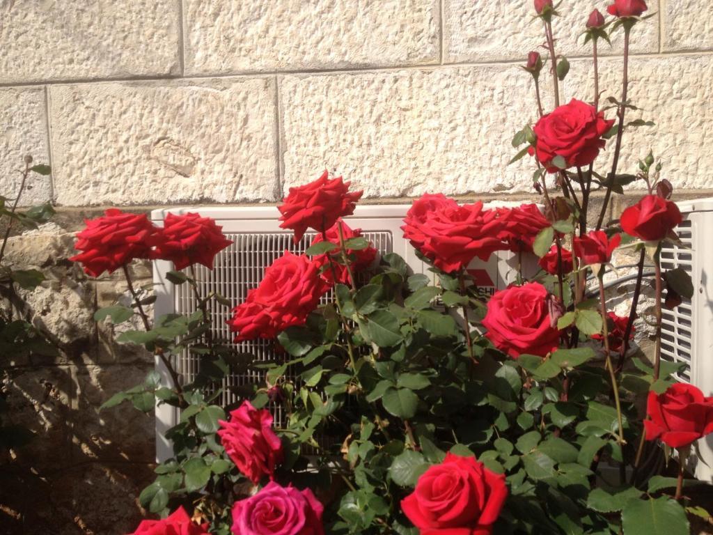Apartment Flora Dubrovnik Bagian luar foto